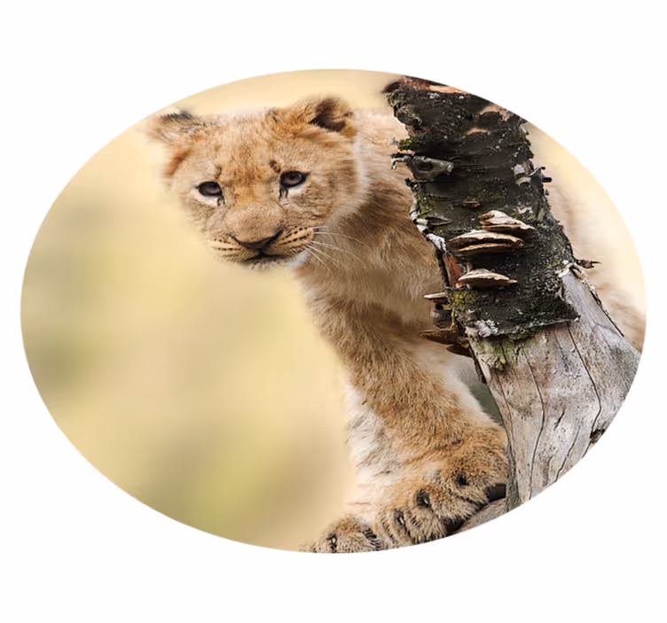 Curious Lion Cub animal print rug - TenStickers