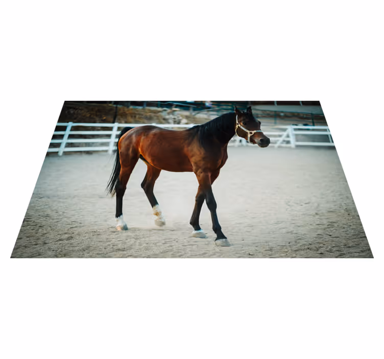 Majestic horse portrait animal mat - TenStickers