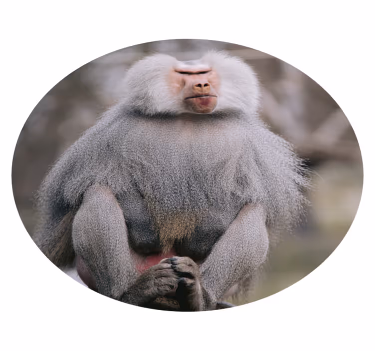 Baboons Sitting Calmly animal mat - TenStickers