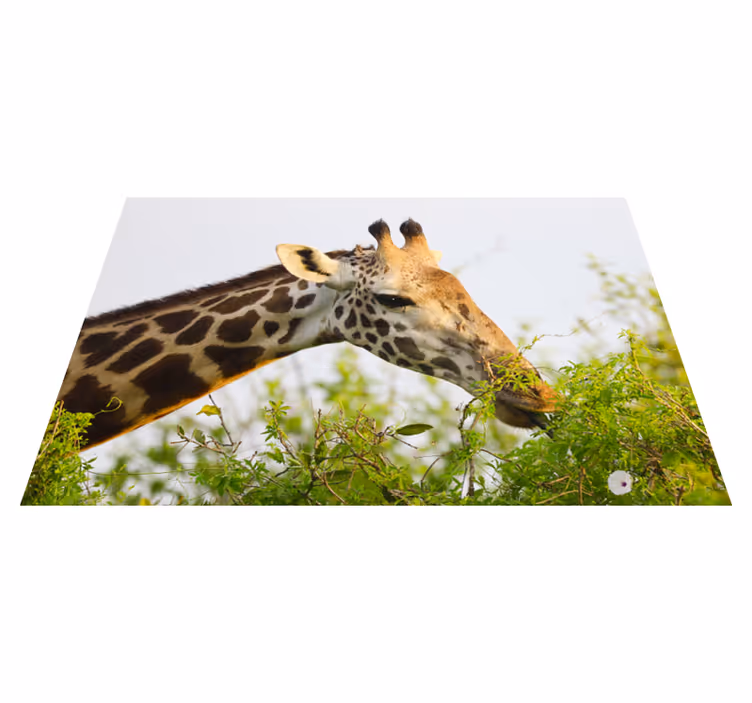 Giraffe eating greens animal mat - TenStickers