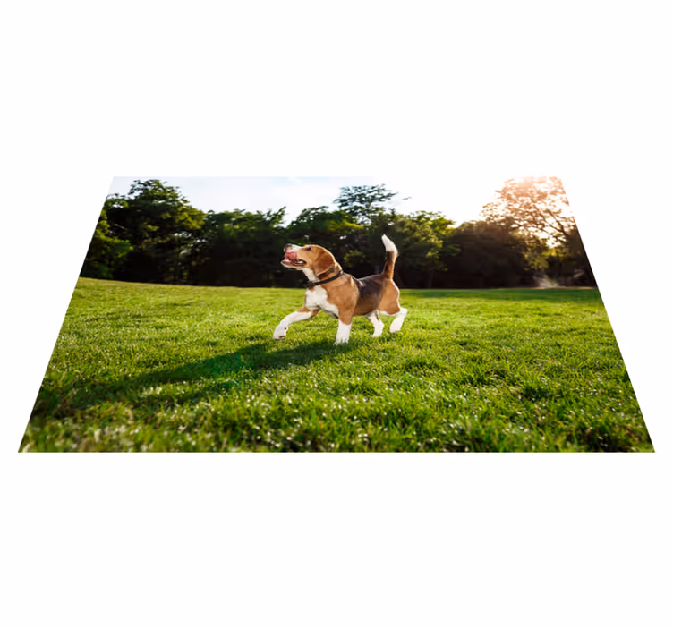 Happy beagle running animal mat - TenStickers