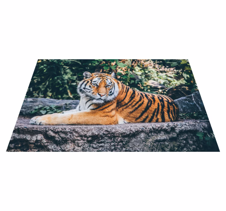 Majestic tiger lying animal mat - TenStickers