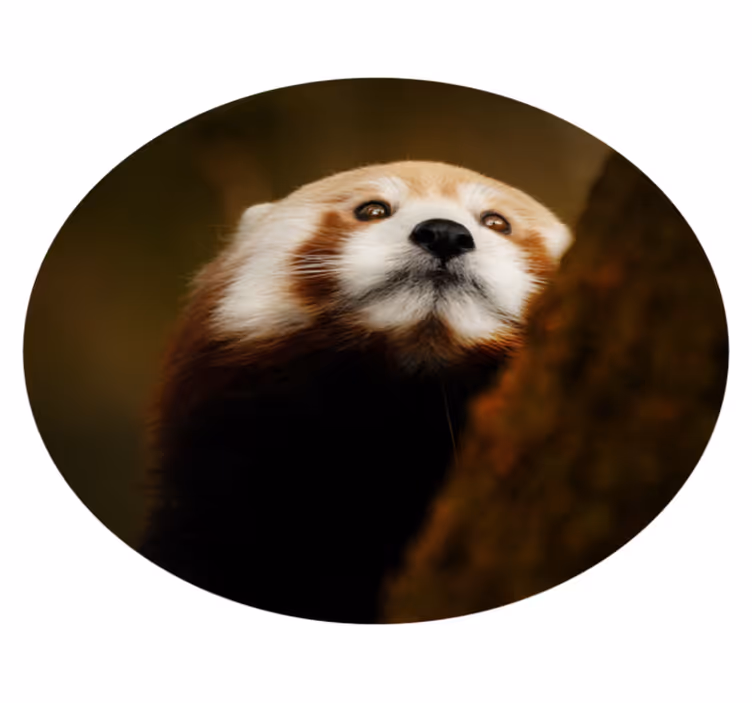 Red fox portrait animal mat - TenStickers