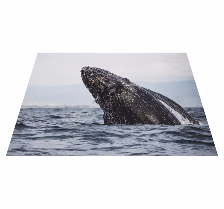 Majestic Whale Leap nature rug - TenStickers