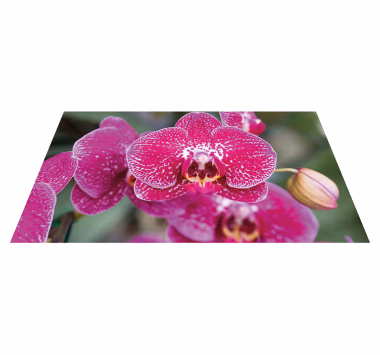 Vibrant Orchid Blooms floral rug - TenStickers