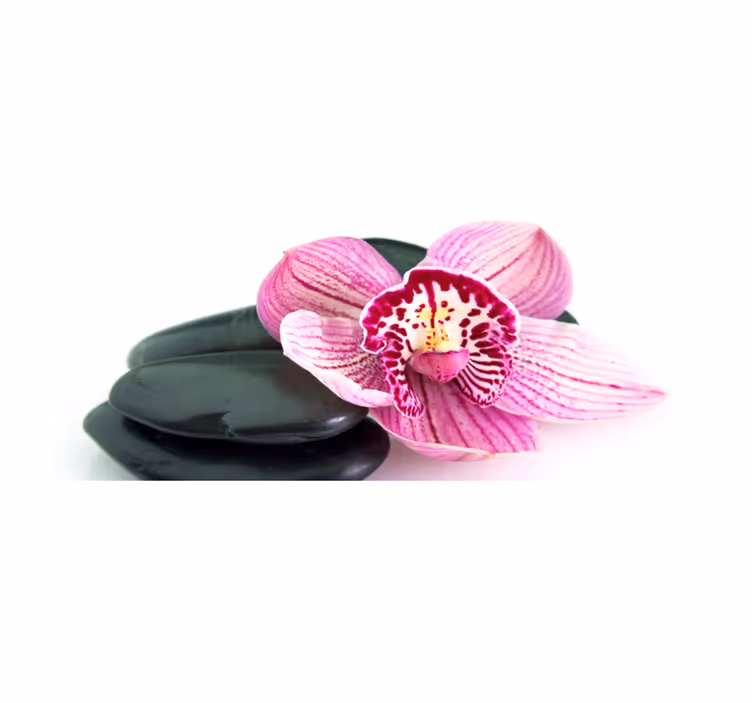 Orchid and Stones floral rug - TenStickers