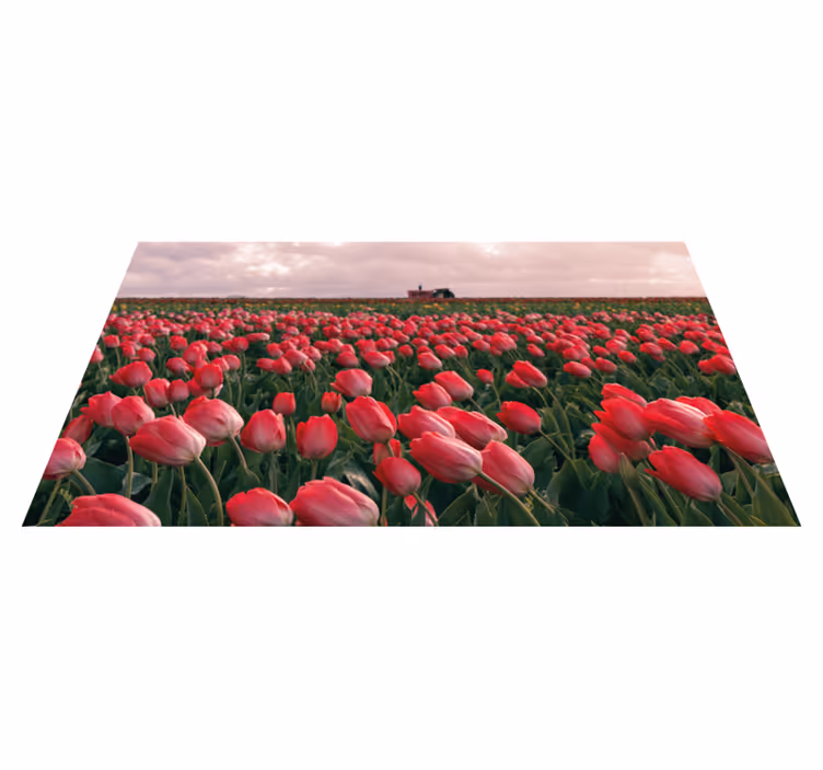 Vibrant Tulip Field nature rug - TenStickers
