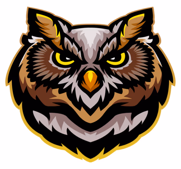 Animal mat owl face design - TenStickers