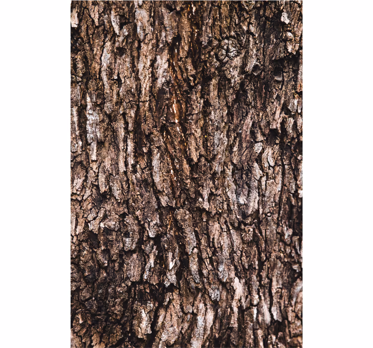 Textured wallpaper bark surface - TenStickers