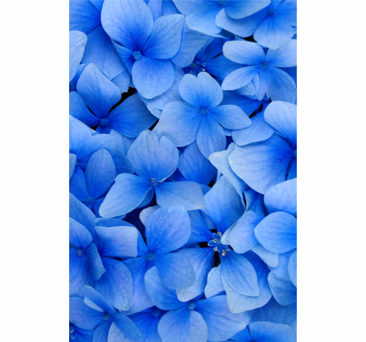 Living room wallpaper hydrangea petals design - TenStickers