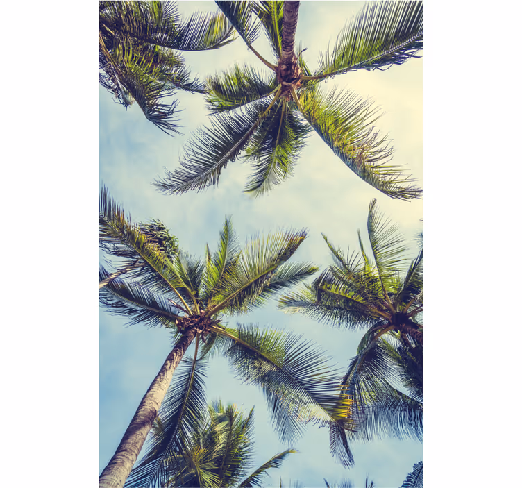 Tree wallpaper featuring palm trees from the base - TenStickers
