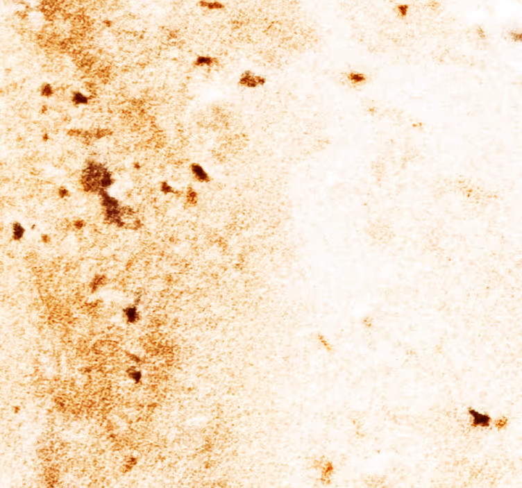 Natural Stone Aesthetics marble wallpaper - TenStickers