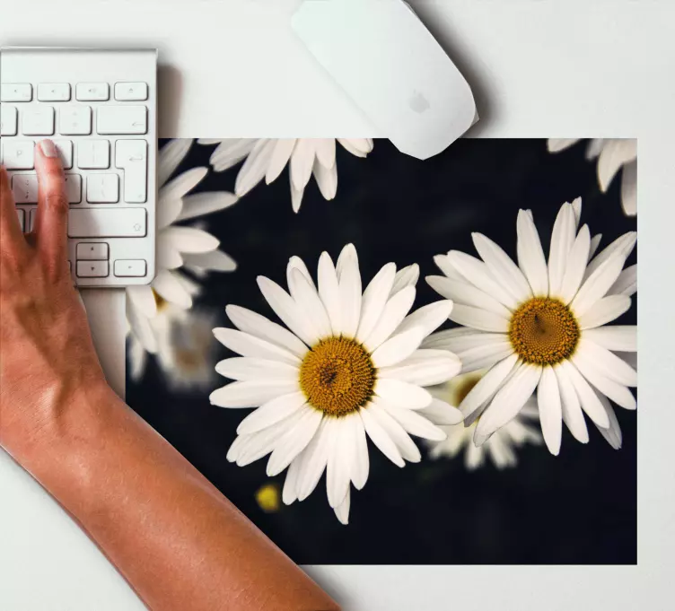 Original mouse pad daisies on surface - TenStickers