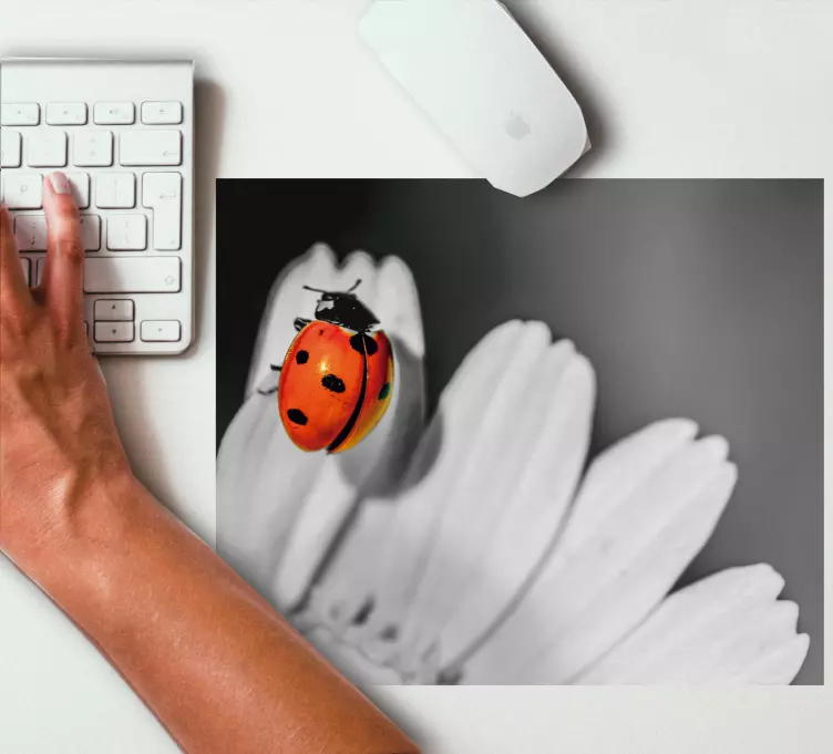 Original mouse pad ladybug on flower design - TenStickers