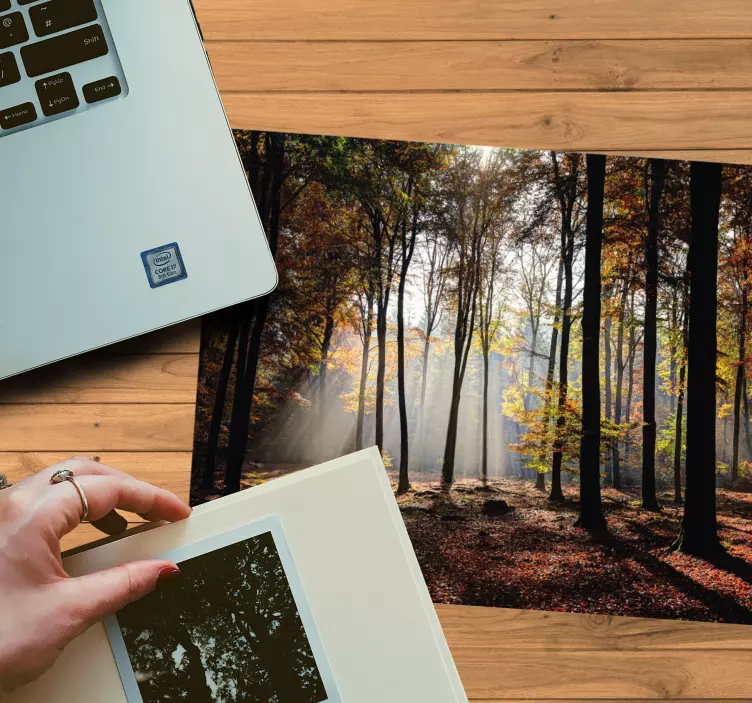 Original mouse pad serene forest scene - TenStickers