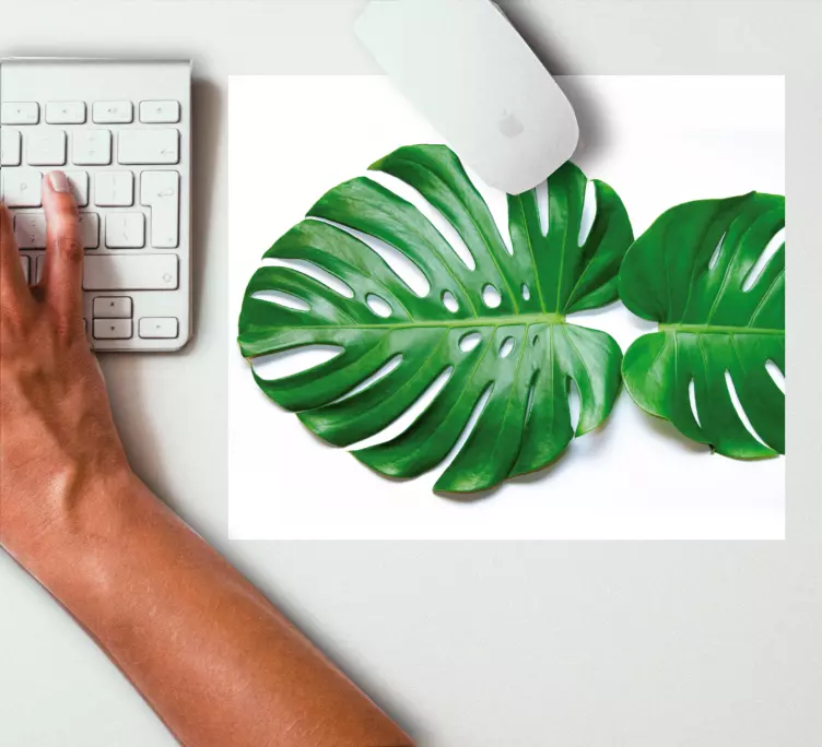 Realistic monstera more mousepads - TenStickers