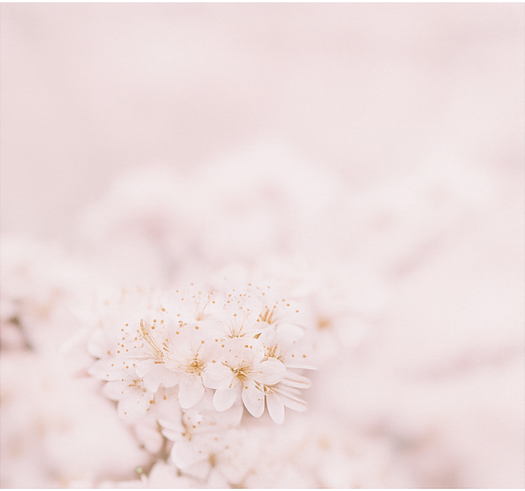 Delicate cherry blossoms master bedroom blind - TenStickers