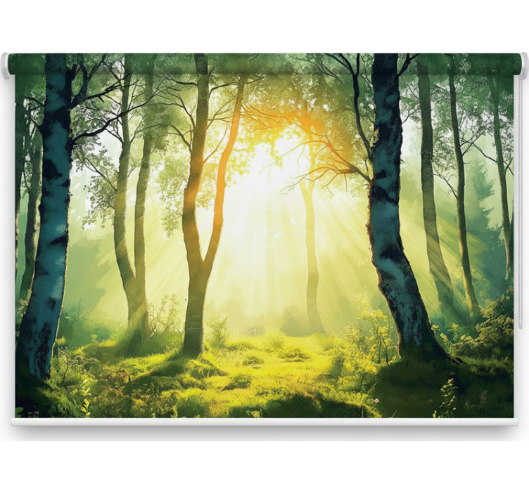 Tree roller blind sunlit birch mural - TenStickers