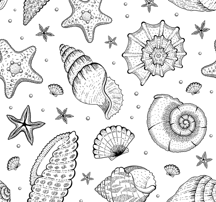 Office blind marine life and seashells black white - TenStickers