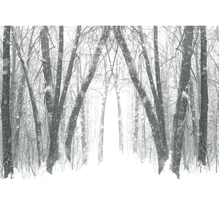 White blind winter trees in the forest - TenStickers