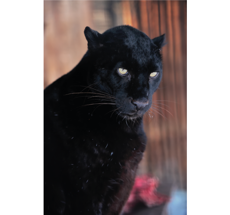 Living room blind leopard stalking design - TenStickers