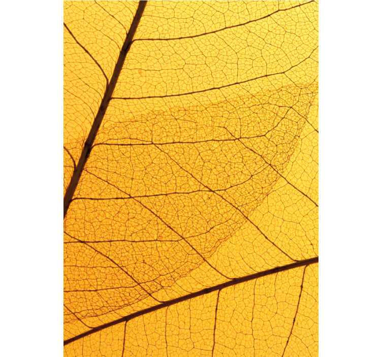 Yellow blind with botanical leaf pattern - TenStickers