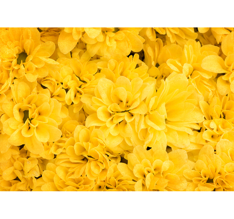 Yellow blind with floral petals design - TenStickers