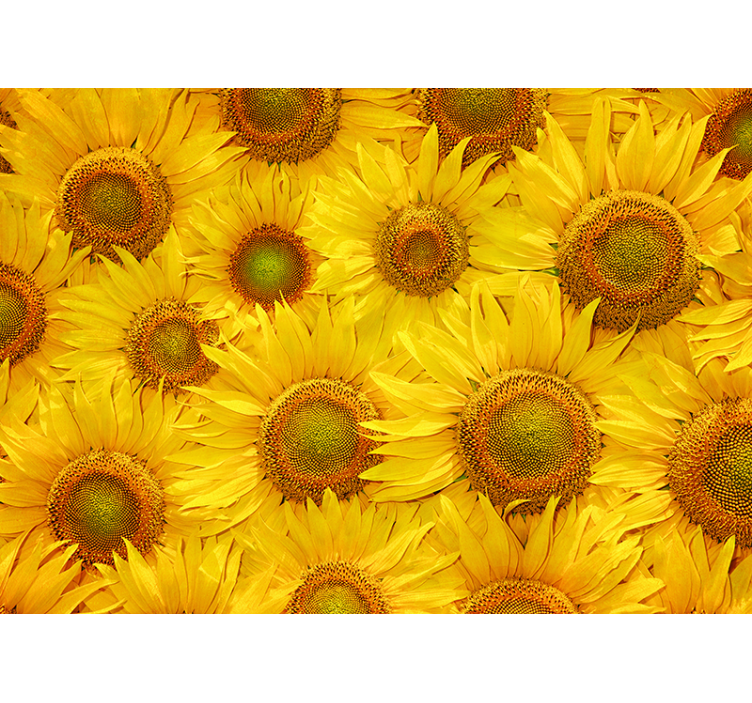 Yellow blind with sunflowers design - TenStickers