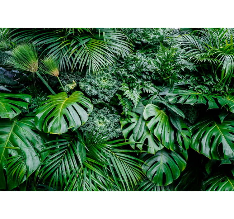 Green blind - bright jungle wallpaper - TenStickers