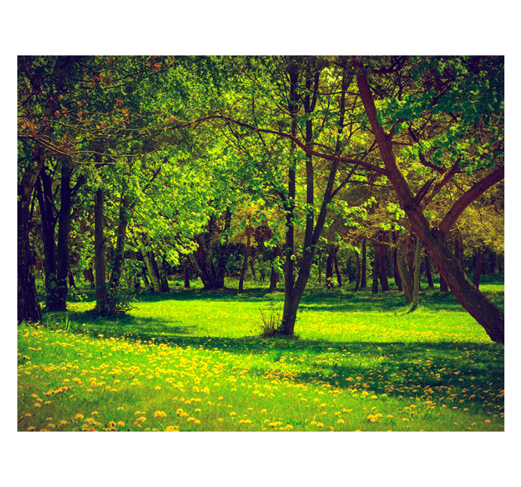 Green blind tranquil forest scene - TenStickers