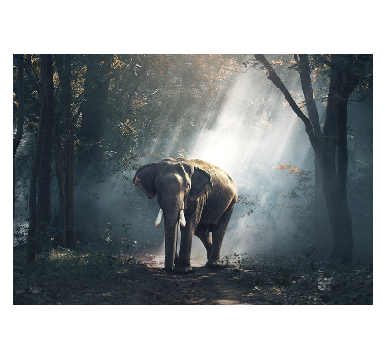 Living room blind elephant in the forest - TenStickers
