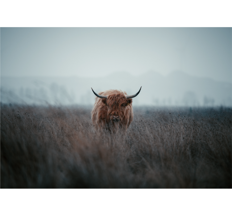 Living room blind highland cow design - TenStickers
