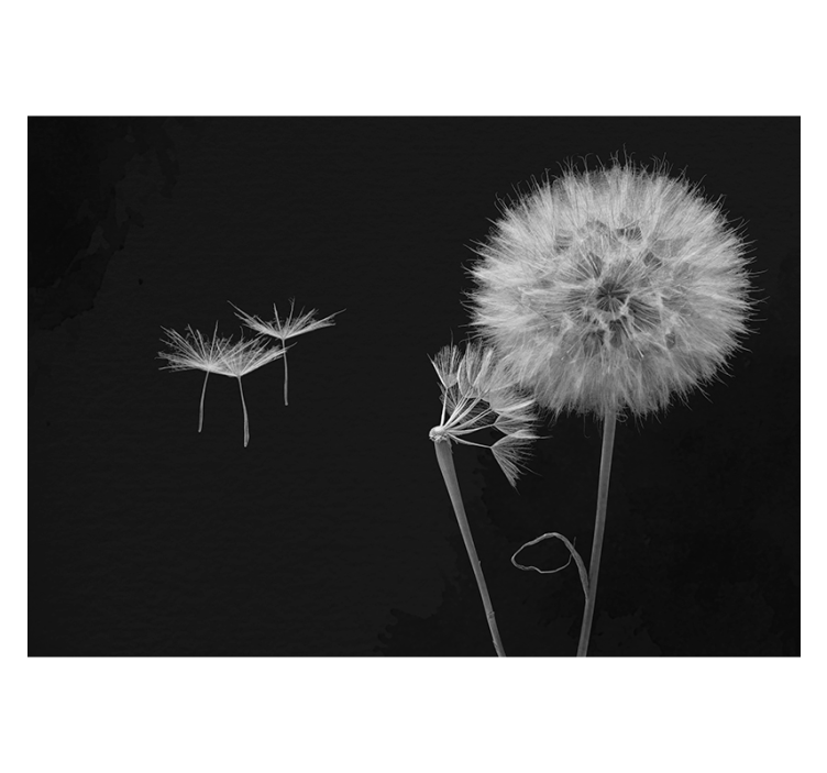 Grey blind wall mural of dandelion head with seeds - TenStickers