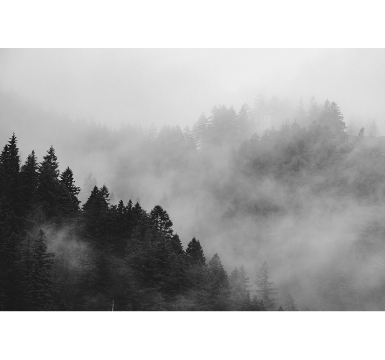 Grey blind black and white misty forest - TenStickers