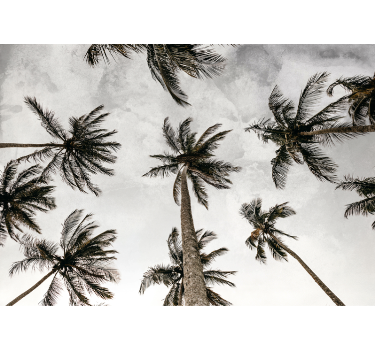 Grey blind with low angle palm tree view - TenStickers