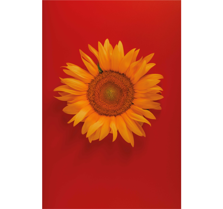 Red orange sunflower  Flower blind - TenStickers