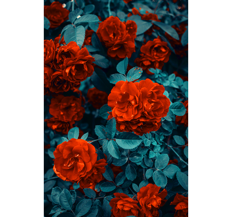 Vibrant Blooming Roses flowers and plant blind - TenStickers