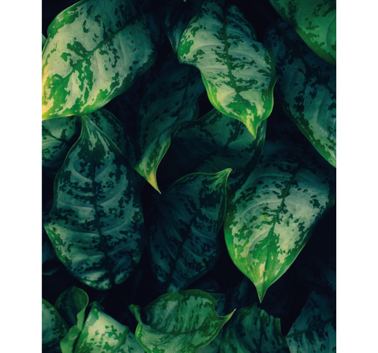 Vibrant green leaves flowers and plant blind - TenStickers