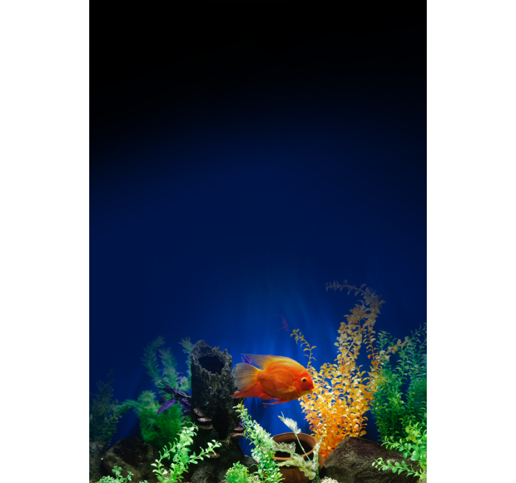 Aquarium life various animal blind - TenStickers