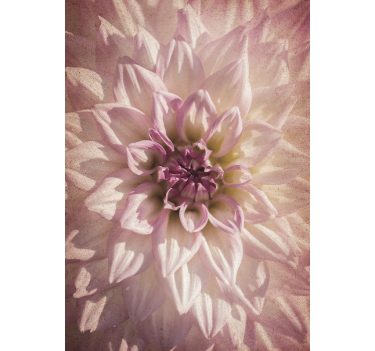 Delicate bloom flowers and plant blind - TenStickers