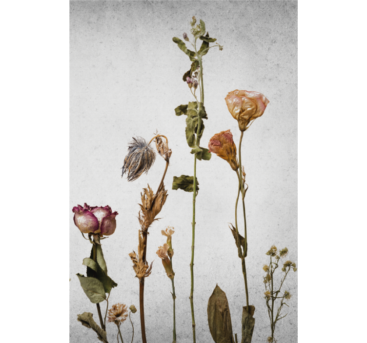 Dried Flower Arrangement flowers and plant blind - TenStickers