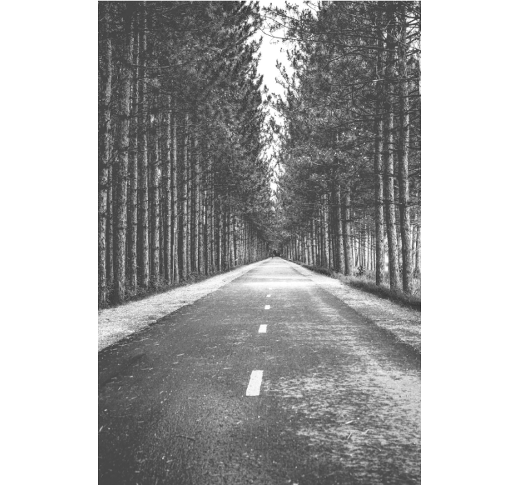 SERENE FOREST PATH other blind - TenStickers