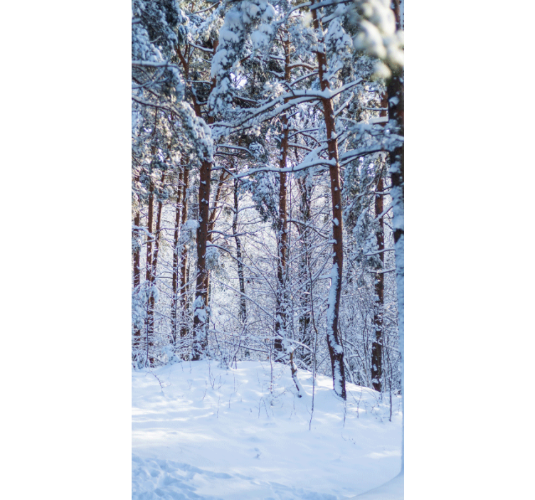 Snowy Pine Forest tree roller blind - TenStickers