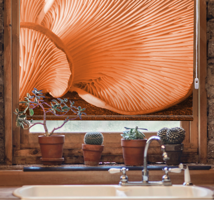 Mushroom Gills Close-Up fruit and vegetable blind - TenStickers