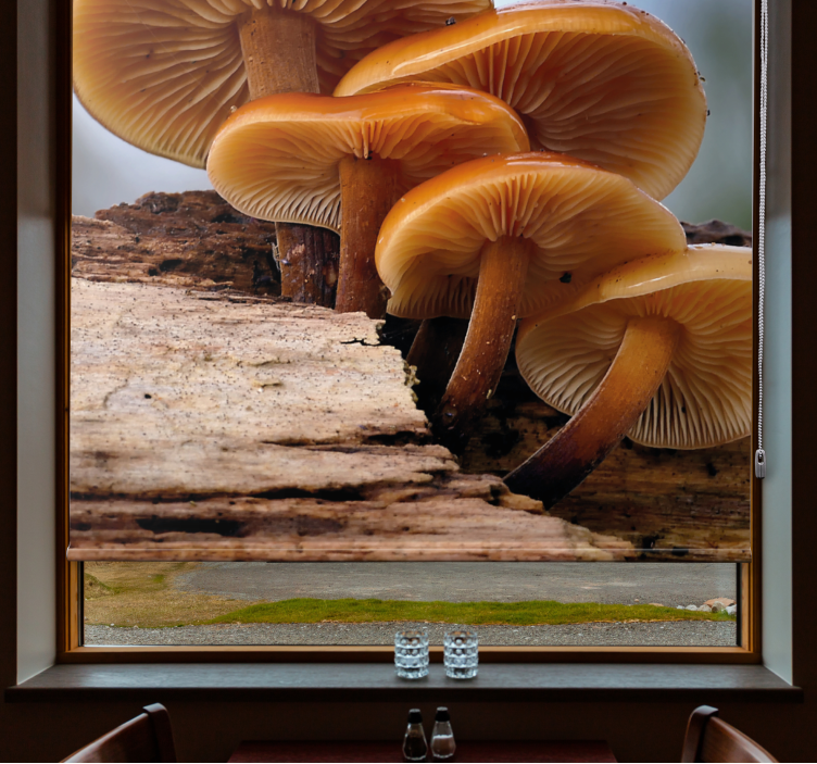 Mushroom Growth flowers and plant blind - TenStickers