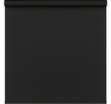 Matte black modern bathroom blind - TenStickers