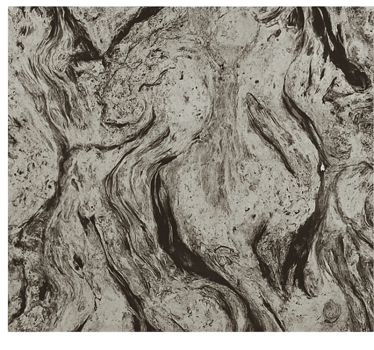 Dark marble texture bathroom blind - TenStickers