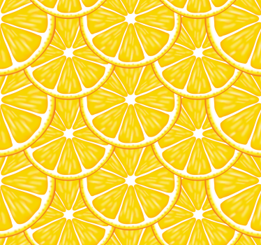 Kitchen blind citrus slice design - TenStickers