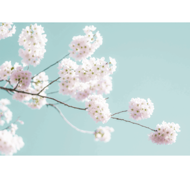 Elegant and feminine white flower kitchen blind - TenStickers