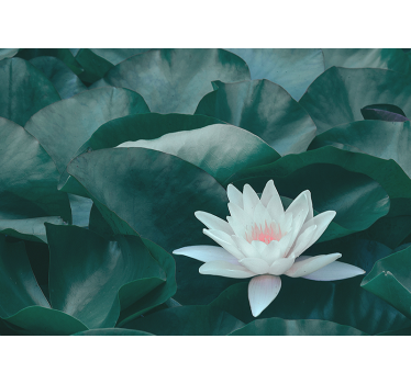 Kitchen blind zen white lotus flower - TenStickers